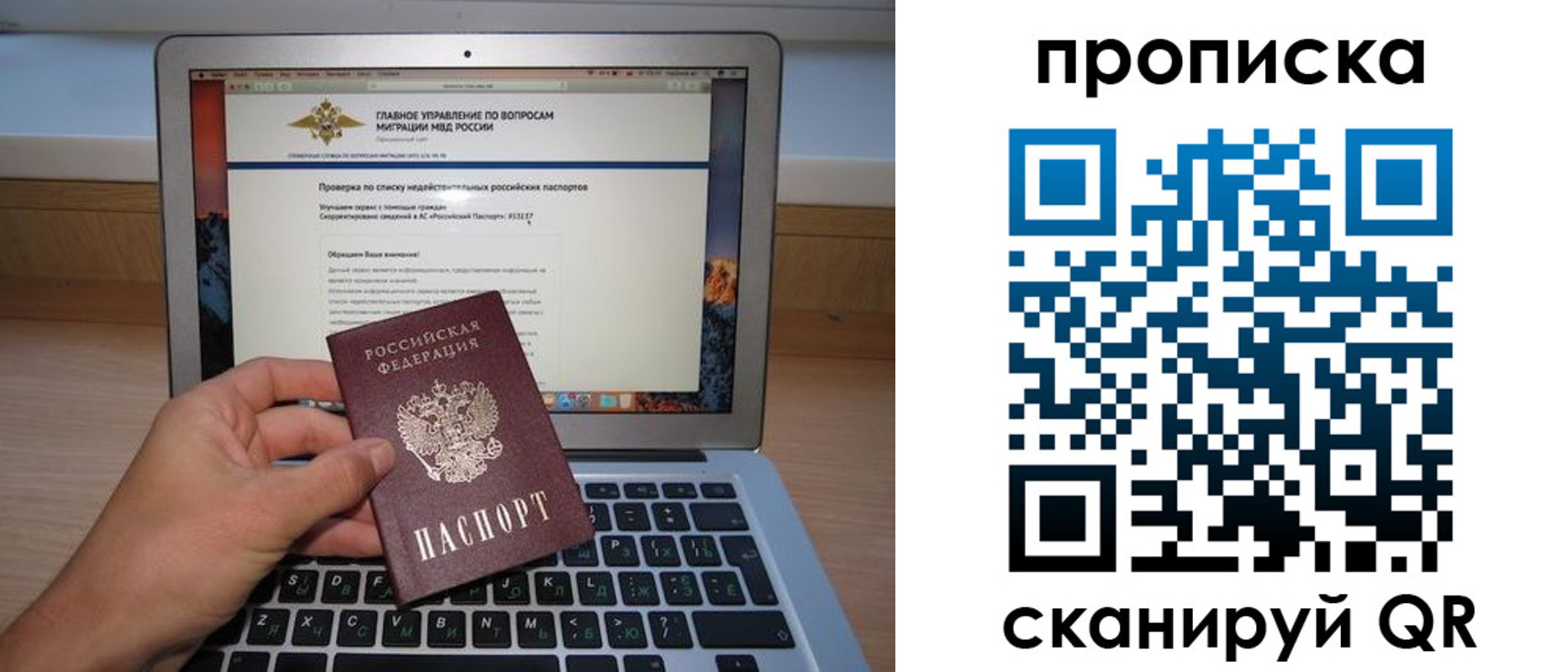 прописка поиск в Невеле